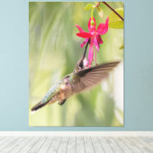 Favoriete Fuchsia Hummingbird Canvas Afdruk (Insitu (Houten vloer))