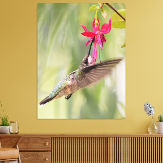 Favoriete Fuchsia Hummingbird Canvas Afdruk (Insitu (Woonkamer))