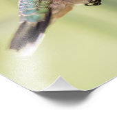 Favoriete Fuchsia Hummingbird Foto Afdruk (Hoek)