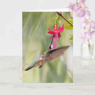 Favoriete Fuchsia Hummingbird Kaart