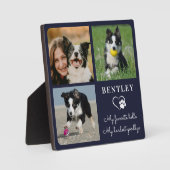 Favoriete Hallo Aangepaste huisdierhond Herdenking Fotoplaat (Voorkant)