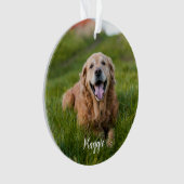 Favoriete Hallo Harde Vaarwel Foto Memorial Ornament (voorkant)