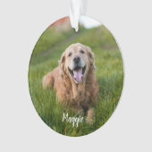 Favoriete Hallo Harde Vaarwel Foto Memorial Ornament (voorkant)