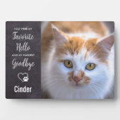 Favoriete Hallo hardste afscheid van aangepast pak Fotoplaat (voorkant)