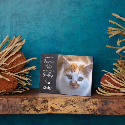 Favoriete Hallo hardste afscheid van aangepast pak Fotoplaat (Zijkant)