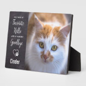 Favoriete Hallo hardste afscheid van aangepast pak Fotoplaat (Zijkant)