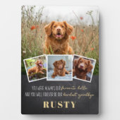 Favoriete Hallo hardste afscheid van Pet Memorial Fotoplaat (voorkant)