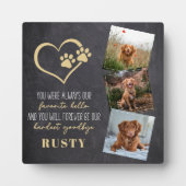 Favoriete Hallo hardste afscheid van Pet Memorial Fotoplaat (Voorkant)