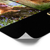 Favoriete Hallo hardste afscheid van Pet Memorial Poster (Hoek)