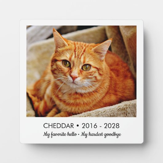 Favoriete Hallo Hardste Vaarwel Huisdier Herdenkin Fotoplaat (Voorkant)