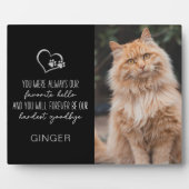 Favoriete Hallo Hardste Vaarwel Kat Gedenkteken Fotoplaat (Voorkant)