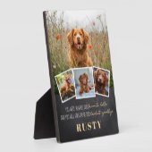 Favoriete Hallo Lastigste Vaarwel Huisdier Herdenk Fotoplaat (Zijkant)