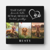 Favoriete Hallo Lastigste Vaarwel Huisdier Herdenk Fotoplaat (Voorkant)