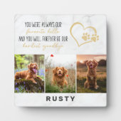 Favoriete Hallo Lastigste Vaarwel Huisdier Herdenk Fotoplaat (Voorkant)