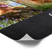 Favoriete Hallo Lastigste Vaarwel Huisdierherdenki Poster (Hoek)