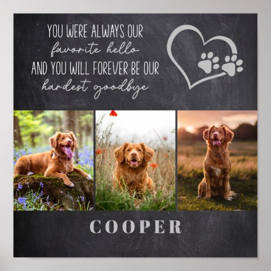 Favoriete Hallo Lastigste Vaarwel Huisdierherdenki Poster (Voorkant)