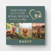 Favoriete Hallo Moeilijkste Vaarwel Huisdier Herde Fotoplaat (Voorkant)