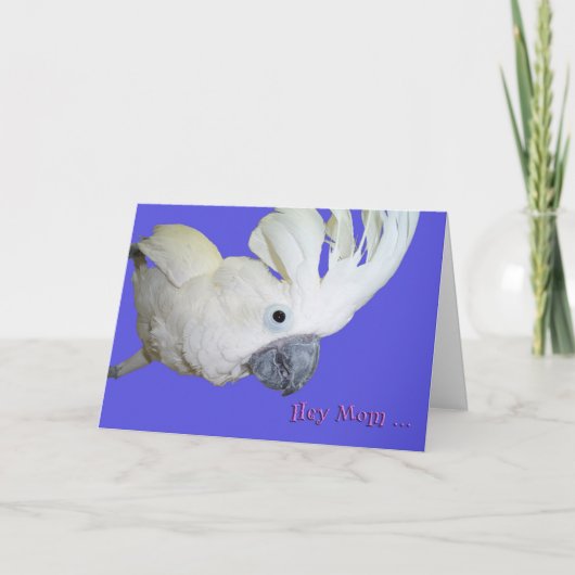 favoriete kaart (Voorkant)