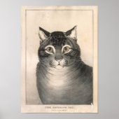 Favoriete kat lithograaf - Nathaniel Currier Poster (Voorkant)