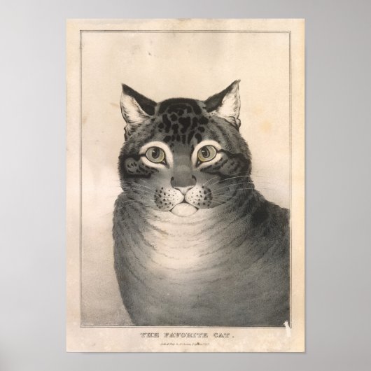 Favoriete kat lithograaf - Nathaniel Currier Poster (Voorkant)