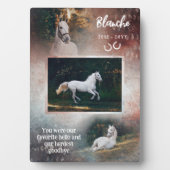 Favoriete Roest & Marine Hello Horse Foto-herdenki Fotoplaat (voorkant)