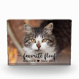 Favoriete verdieping foto foto