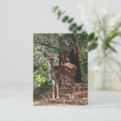FAWN #2 BRIEFKAART (Staand voorkant)