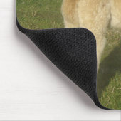 Fawn alpaca muismat (Hoek)