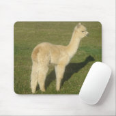 Fawn alpaca muismat (Met muis)