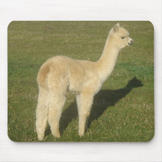 Fawn alpaca muismat (Voorkant)