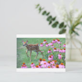 Fawn and Coneflowers, Ohio Briefkaart (Staand voorkant)