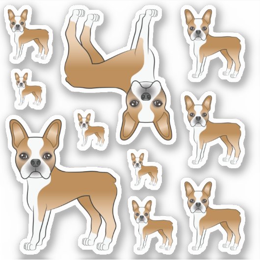 Fawn and White Boston Terrier Dog Illustraties Sticker (Voorkant)