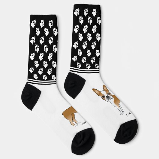 Fawn and White Boston Terrier, met naam en poten Sokken (Rechts)