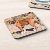 Fawn and White Boxer Puppy Dog Bier Onderzetter (Linkerzijde)