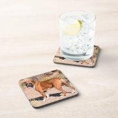 Fawn and White Boxer Puppy Dog Bier Onderzetter (Rechterzijde)