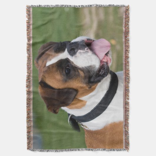 Fawn and White Boxer Puppy Dog Deken (Voorkant Verticaal)