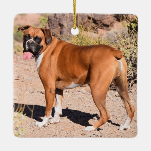 Fawn and White Boxer Puppy Dog Keramisch Ornament (Achterkant)