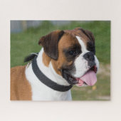 Fawn and White Boxer Puppy Dog Legpuzzel (Horizontaal)