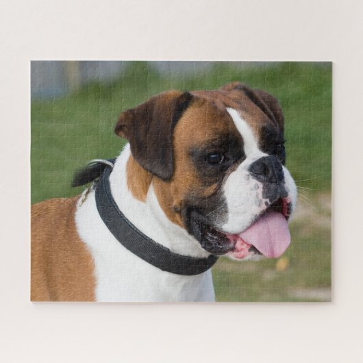 Fawn and White Boxer Puppy Dog Legpuzzel (Horizontaal)