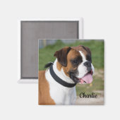 Fawn and White Boxer Puppy Dog Magneet (Voorkant / Achterkant)