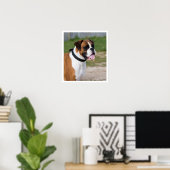 Fawn and White Boxer Standing Poster (Thuiskantoor)