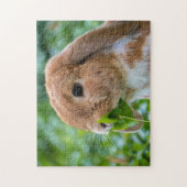 Fawn and White Holland Lop Bunny Rabbit Legpuzzel (Verticaal)