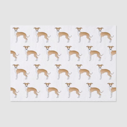 Fawn and White Italiaanse Greyhound Cute Dog Patte Tissuepapier (Voorkant)