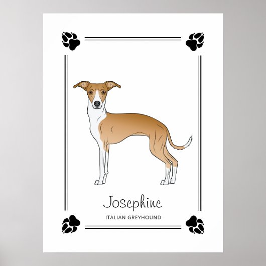 Fawn and White Italiaanse Greyhound met poten en t Poster (Voorkant)