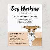 Fawn and White Italy Greyhound - Dog Walker Flyer (Voorkant)