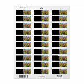 Fawn Birds Field of Flowers Etiket (Full Sheet)