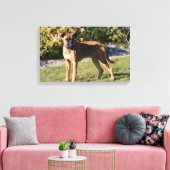 Fawn Boxer Dog Standing Canvas Afdruk (Insitu (Woonkamer))