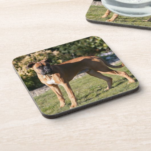 Fawn Boxer Dog Standing Drankjes Onderzetter (Linkerzijde)