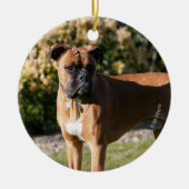 Fawn Boxer Dog Standing Keramisch Ornament (Voorkant)