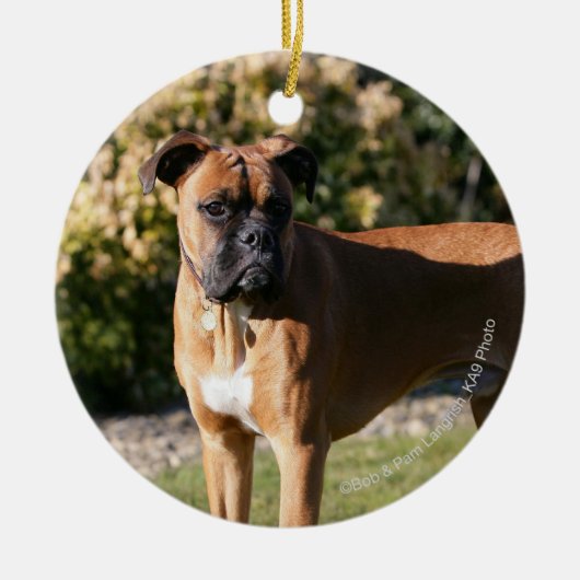 Fawn Boxer Dog Standing Keramisch Ornament (Voorkant)